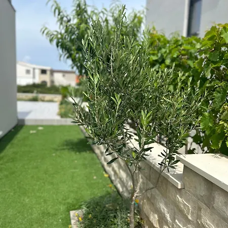 Velebit View Apartment Vir